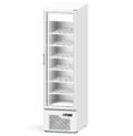 Expositor Refrigerado Congelados Estático 340 Litros 530 x 760 x 1950h mm VAH340 Línea Córdoba